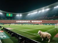 北京国安客场战平，难逆转领头羊