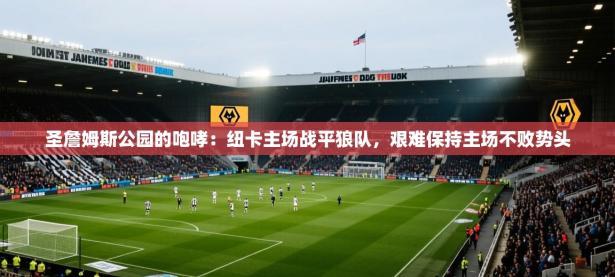 圣詹姆斯公园的咆哮：纽卡主场战平狼队，艰难保持主场不败势头