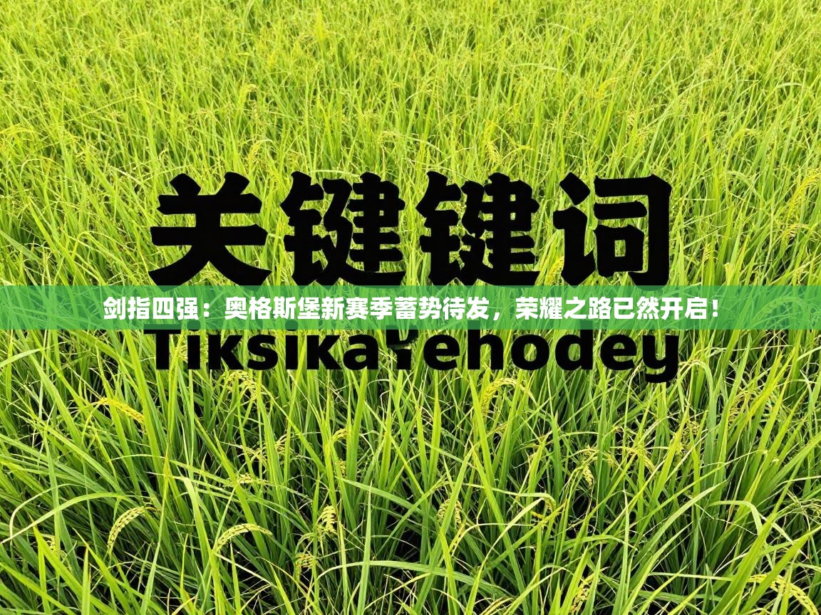 剑指四强：奥格斯堡新赛季蓄势待发，荣耀之路已然开启！  第2张