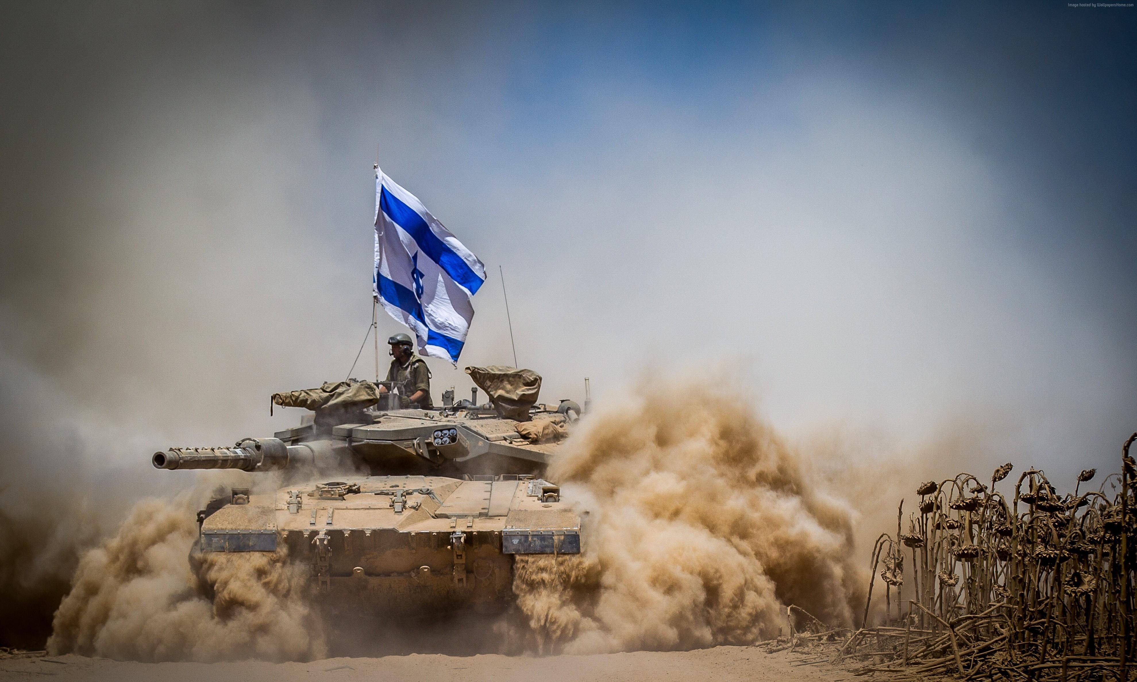 开云体育网页版入口-包含沃尔夫斯堡强势反击，逆袭击败对手的词条