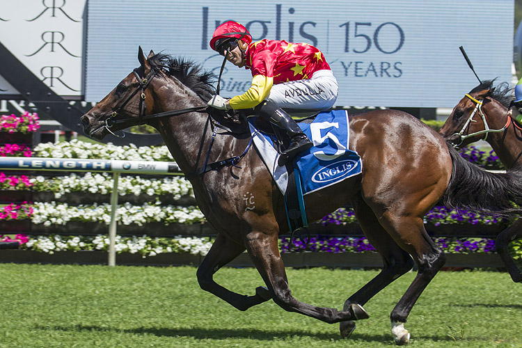 关于皇家马赛客场力克尼斯，取得连胜的信息